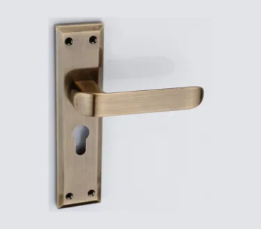 8023 - Main Door Lock